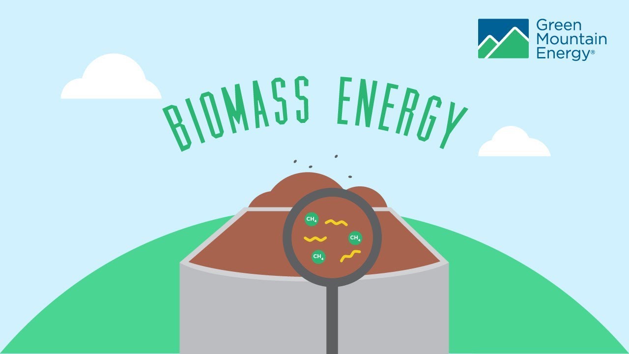 Biomass Energy Explained: From Waste to Power