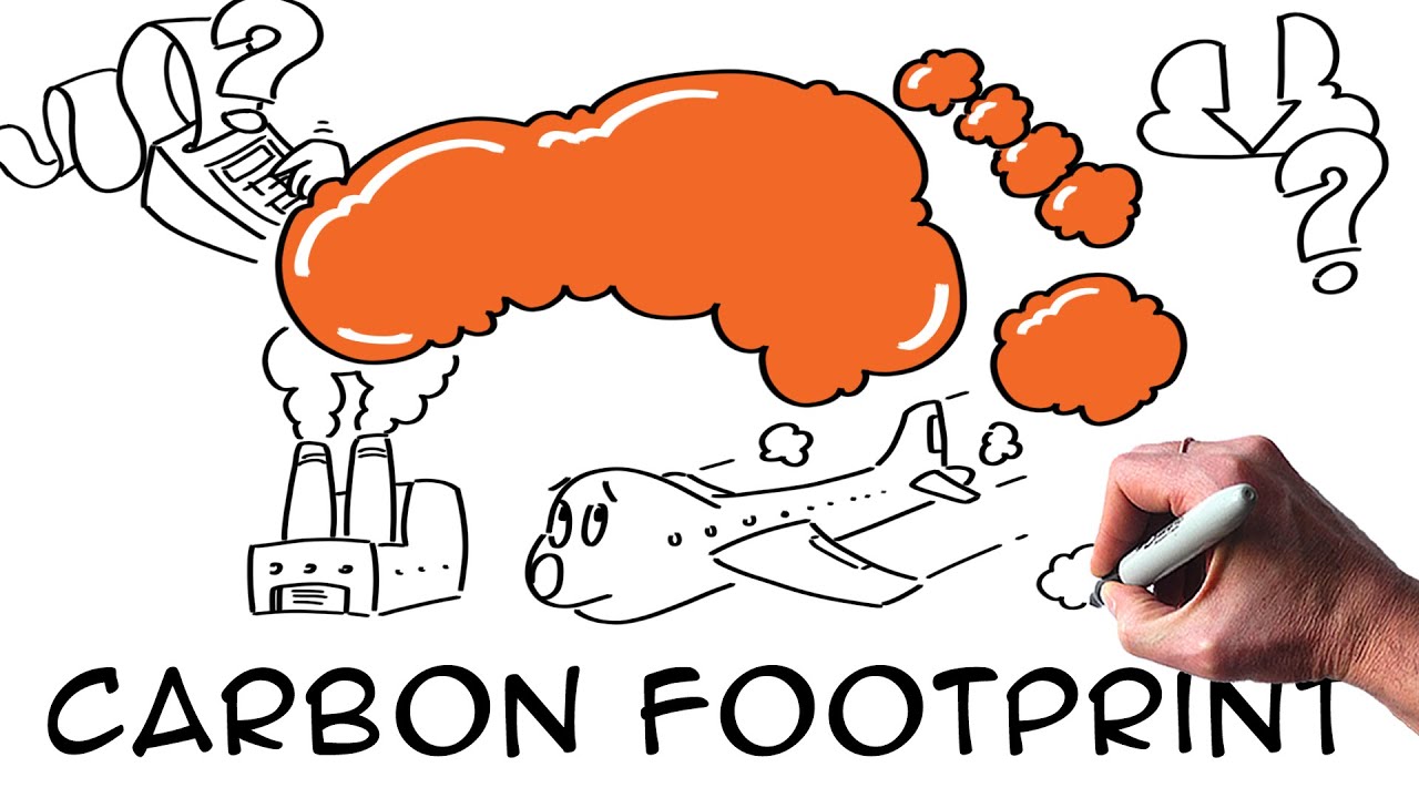 Understanding the Carbon Footprint: What Students Should Know