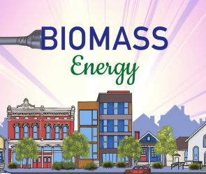 renewable energy biomass