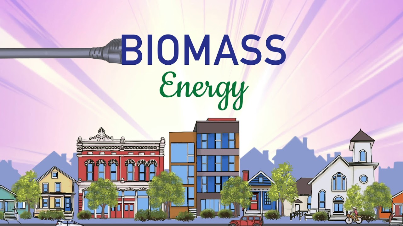 renewable energy biomass