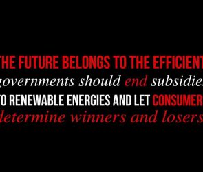 renewable energy subsidies