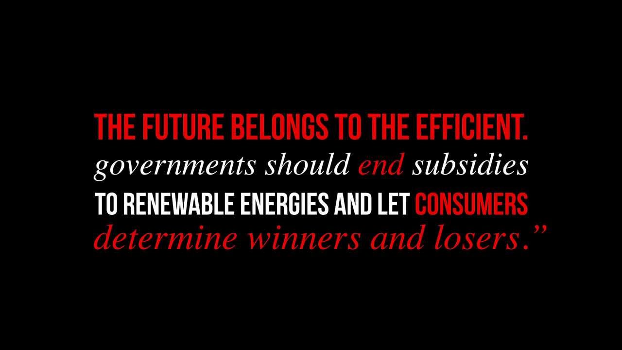 renewable energy subsidies